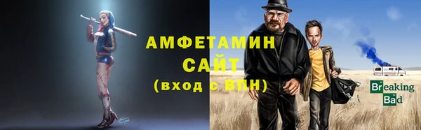 мет Алексин