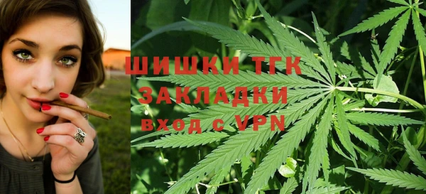 мет Алексин