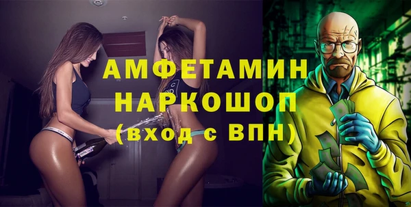 мет Алексин